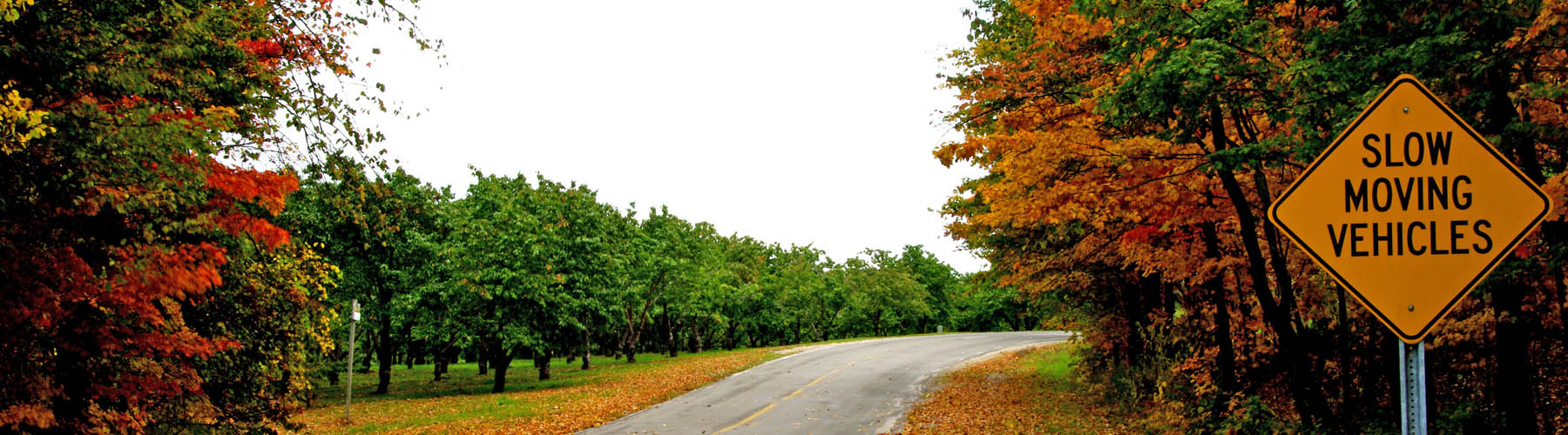 a road with trees on both sides and a yellow sign that says 'SLOW MOVING VEHICLES'
